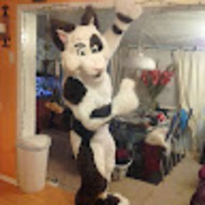 Meet your Posher, Badboy